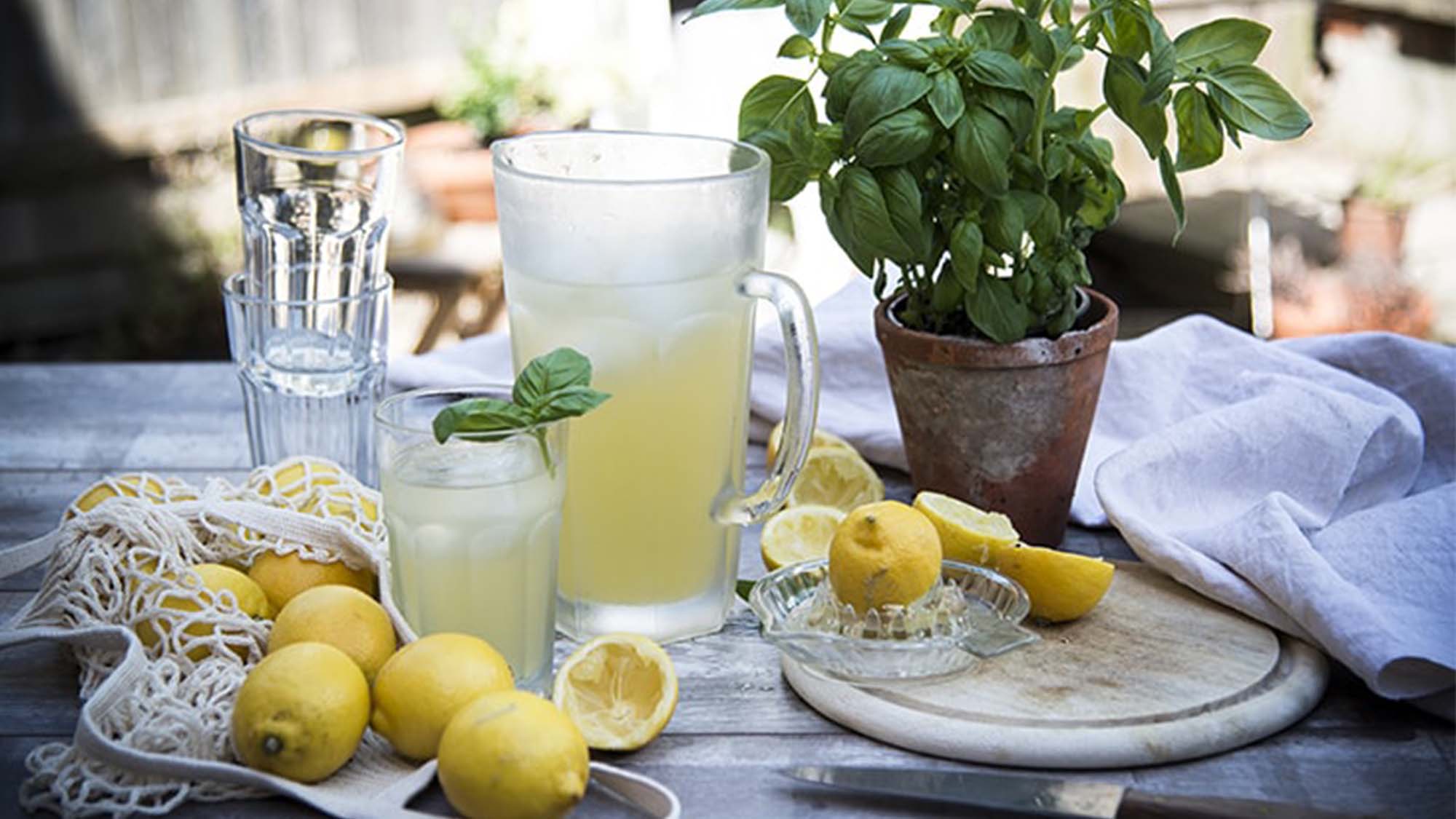 Homemade Basil Lemonade | Drinks Recipes | ao.com