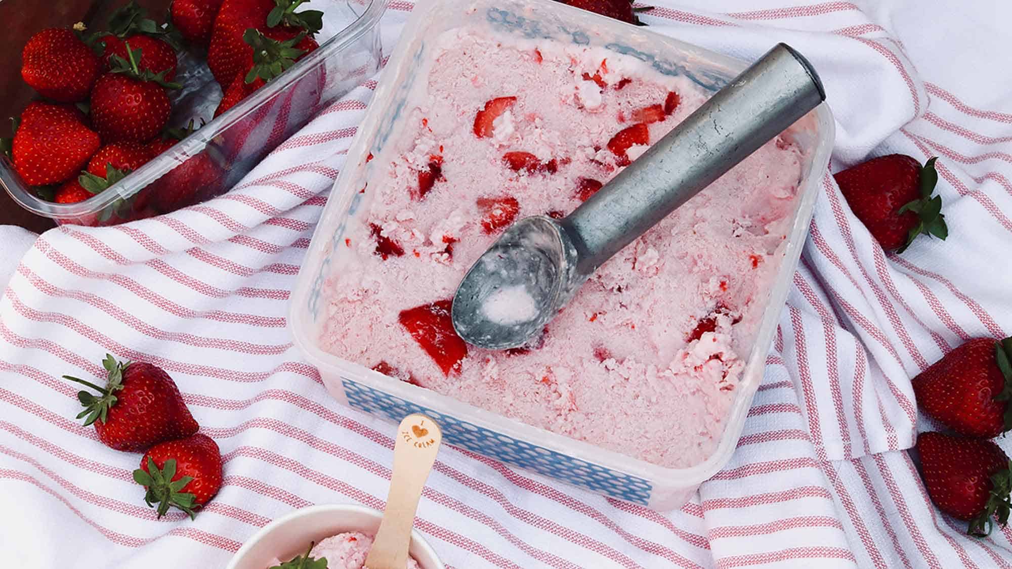 Low Calorie Strawberry IceCream Dessert Recipes