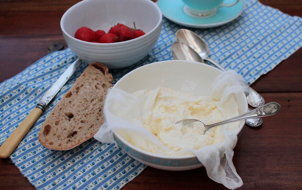 Ricotta Cheese Light Bite Recipes