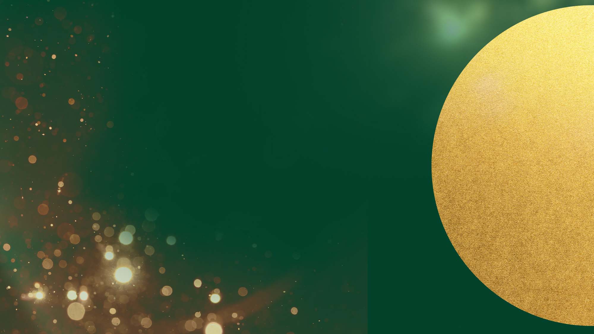 AO Bear Advent Calendar Christmas Giveaway Social Competition