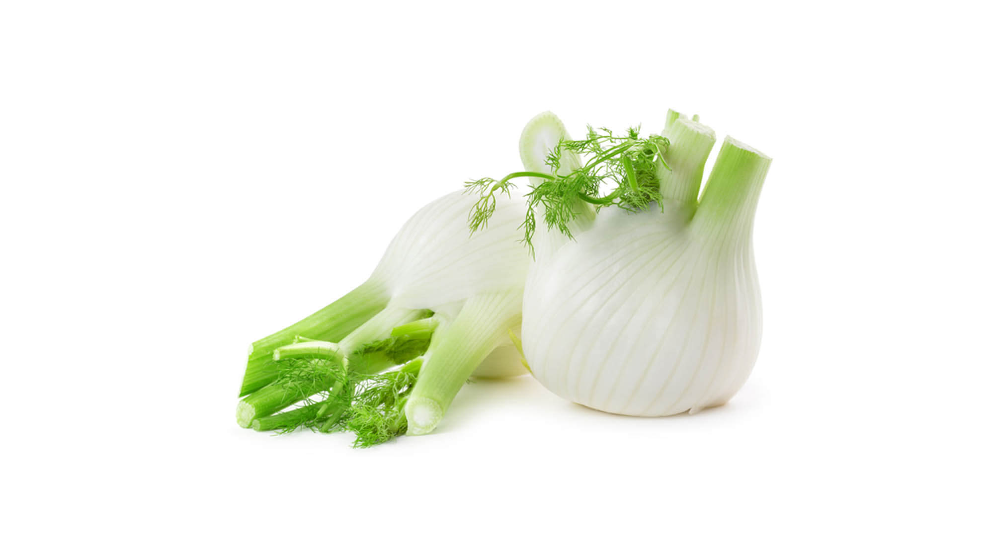 How to cook fennel | Fennel recipes | ao.com