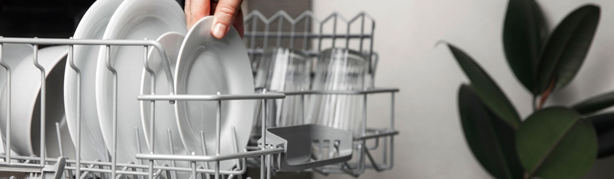 Dishwashers Antibacterial cycle Essential Feature Guide