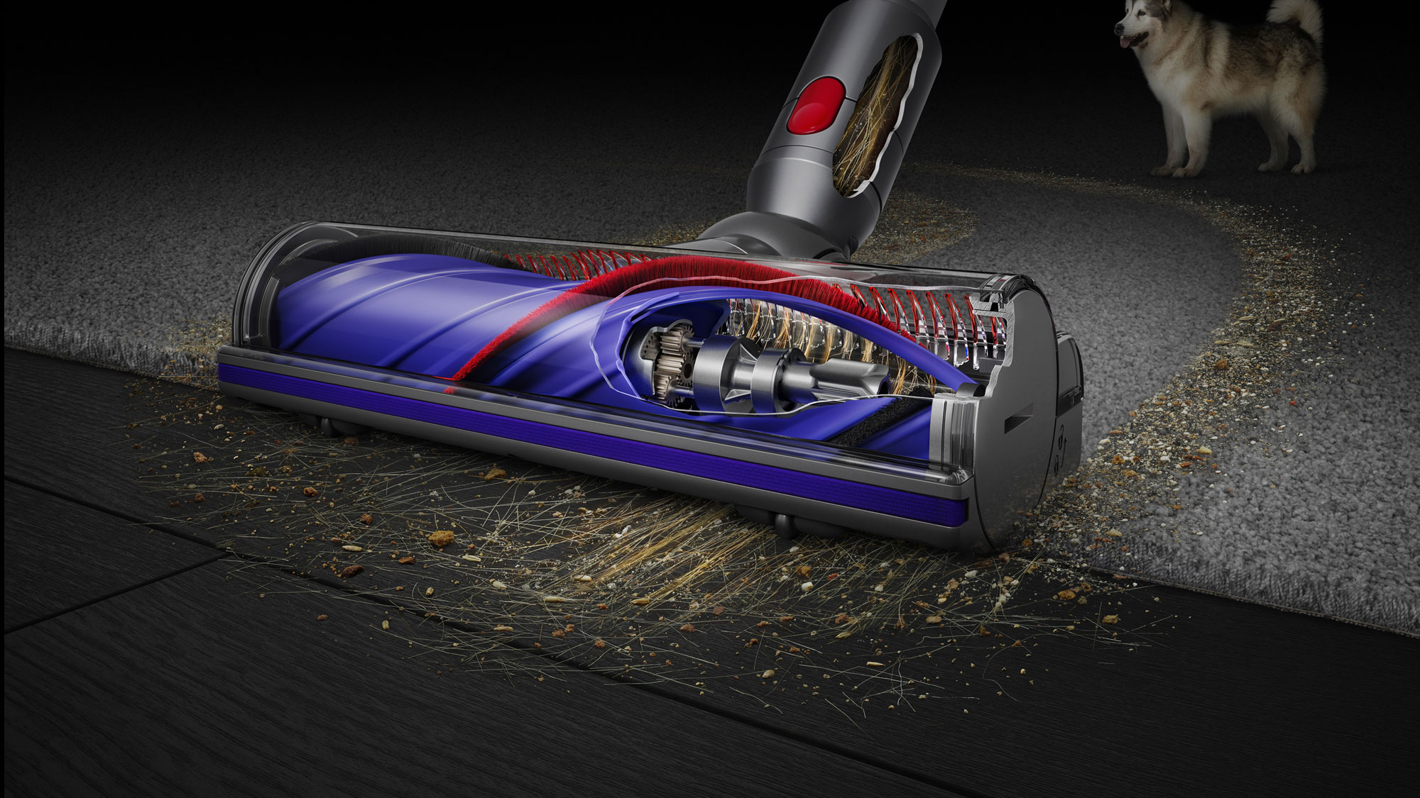 Vacuum Cleaners | Detangling Technology | Essential Feature Guide